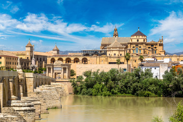Obraz premium Roman Bridge in Cordoba