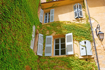 vine-clad old building in Aix-en-Provence, France