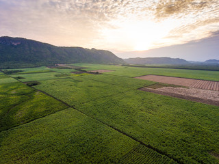 Aerial View of Sugar Cane Farming in Front of Beautiful Mountain