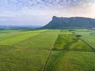 Aerial View of Sugar Cane Farming in Front of Beautiful Mountain