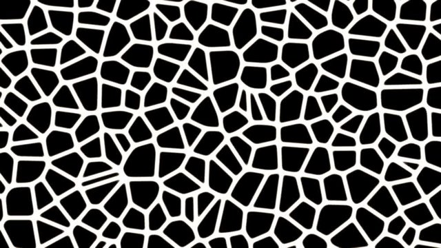  Black and White Voronoi Cellular Pattern   -   Abstract Looping Video Footage