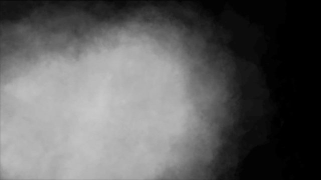 Swirling Growing Toman on transparent Background -    Video Footage with Alpha Channel