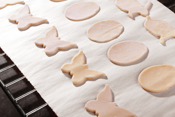 Raw Easter cookies on baking grid, closeup