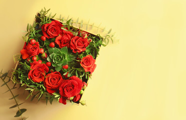 Beautiful roses in gift box on color background