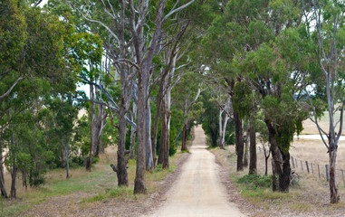 To The Farm Hohse