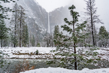 Bridaveil Fa;;s viewed from Northside drive during a winter storm in Yosemite