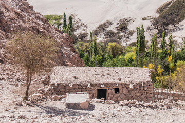 Jerez Oasis, Atacama Region, Chile.