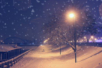 Night landscape in winter park.