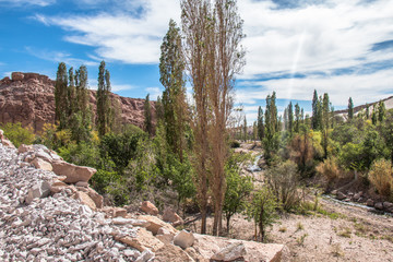 Jerez Oasis, Atacama Region, Chile.