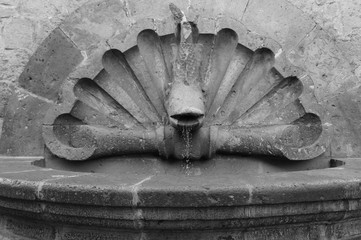 fuente de pez en el callejón de el romance