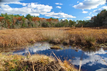 Sunny fall day in New Hampshire 