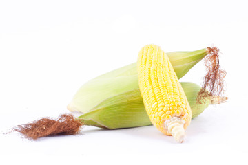 sweet corn on cobs kernels or fresh grains of ripe corn on white background corn vegetable isolated
