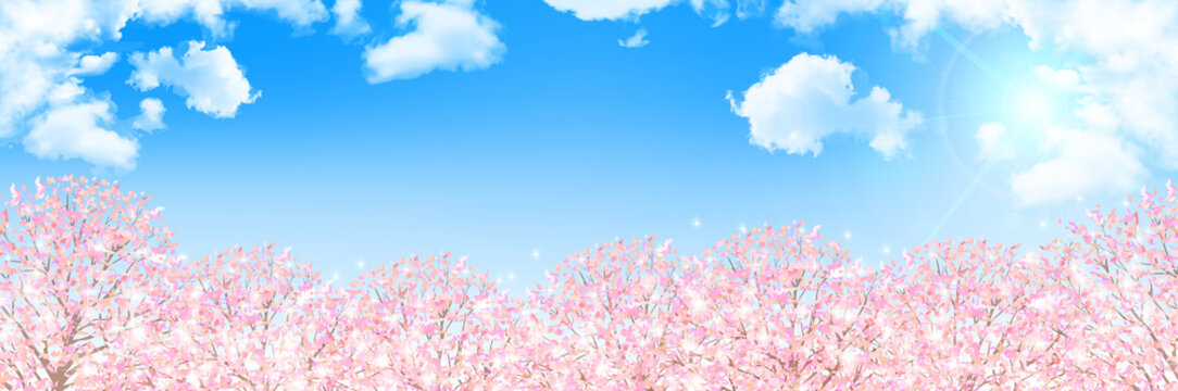 桜　春　花　背景