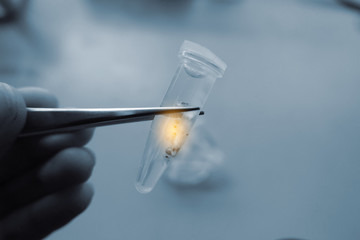 scientist hand holding laboratory test tube with soft focus