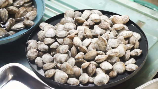 Fresh Clams in Asian market. Sale of fresh Clams fish in the Asian public store. Seafood on Market.Sea Clams lying on the shopboard at one of the street markets. 4K video, Philippines.