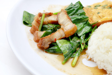 Stir fried kale with crispy pork and Thai Omelette with rice in white dish iIsolated on white background, Thai Food