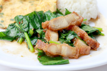 Stir fried kale with crispy pork and Thai Omelette with rice in white dish iIsolated on white background, Thai Food
