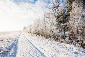Fototapeta na wymiar Winter rural road in the snow