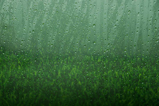 Glass Window with Water Droplet from Rain and Blurred Green Grass as background