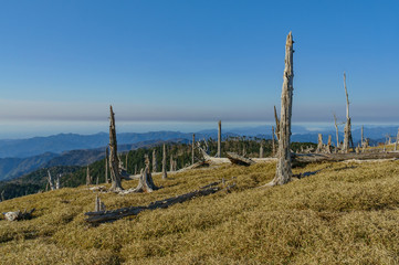 Obraz premium japanese landscape - odaigahara - kamikitayama - nara