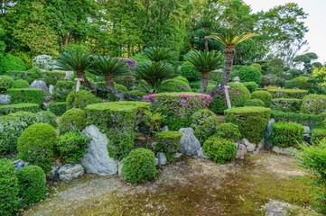 japanese landscape - ioji - iwata - shizuoka