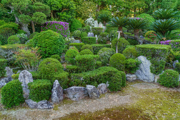 japanese landscape - ioji - iwata - shizuoka