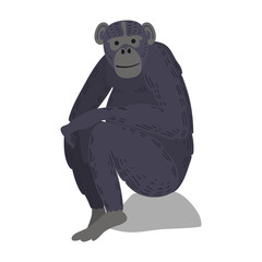 Macaque monkey rare animal vector.