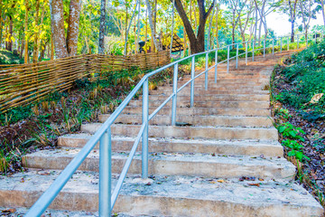 Concrete stair in national park