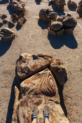 Bisti badlands