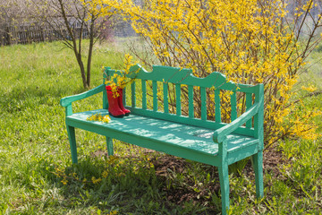 spring garden with bench
