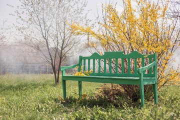 spring garden with bench