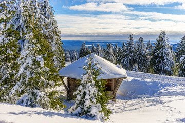 Wunderschöne Wintersportlandschaft mit kleiner Hütte