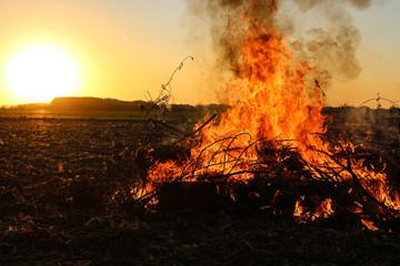a big bonfire against a sunset background