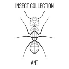 Ant insect geometric lines silhouette isolated on white background vintage vector design element illustration