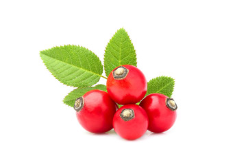Rose hip with leaves isolated.