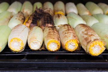 Corn Roast On Charcoal - street food