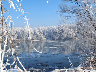 river under the ice and tree branches covered with white frost
