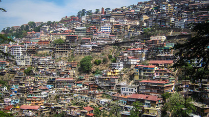 landscape of a mustard farm at sunrise