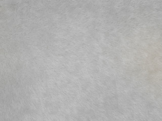 grey fur background