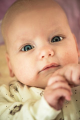 cute dreamly little baby girl portrait