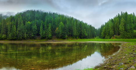 Fototapeta na wymiar Panoramic view of beautiful lake in mountains. Spruce forest in