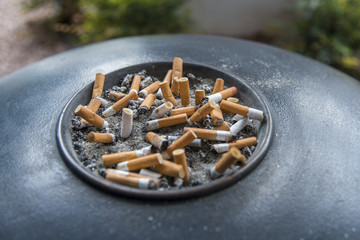 Cigarette butts in ashtray