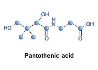 Pantothenic acid, also called vitamin B5, is a water-soluble vitamin. It is an essential nutrient that requires to synthesize coenzyme-A, as well as to metabolize proteins, carbohydrates and fats. 