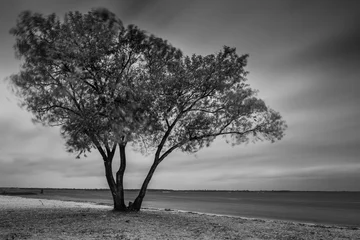 Photo sur Aluminium Noir et blanc Paysage sur la côte d& 39 automne. Temps orageux. Prise de vue longue exposition. Photographie en noir et blanc.