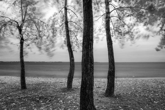 Landscape on the autumn coast. Stormy weather. Long exposure shot. Black and white photo.