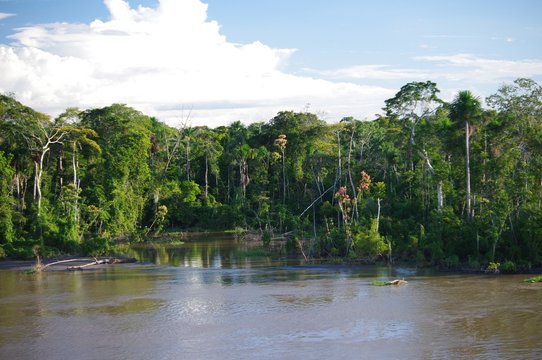 Village, huts at edge of Amazon River Peru