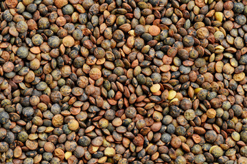 Raw lentile organic background and textured