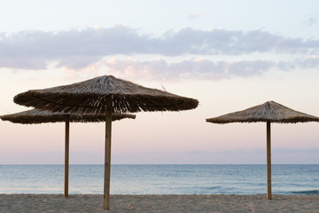 palm umbrellas on the beach