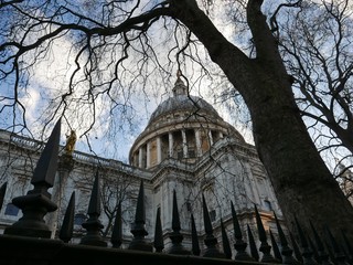 St. Paul's Cathedral seen through the branches of a tree in winter