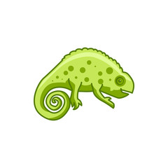 chameleon icon illustration